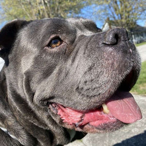 Meet your Posher, Jaysin